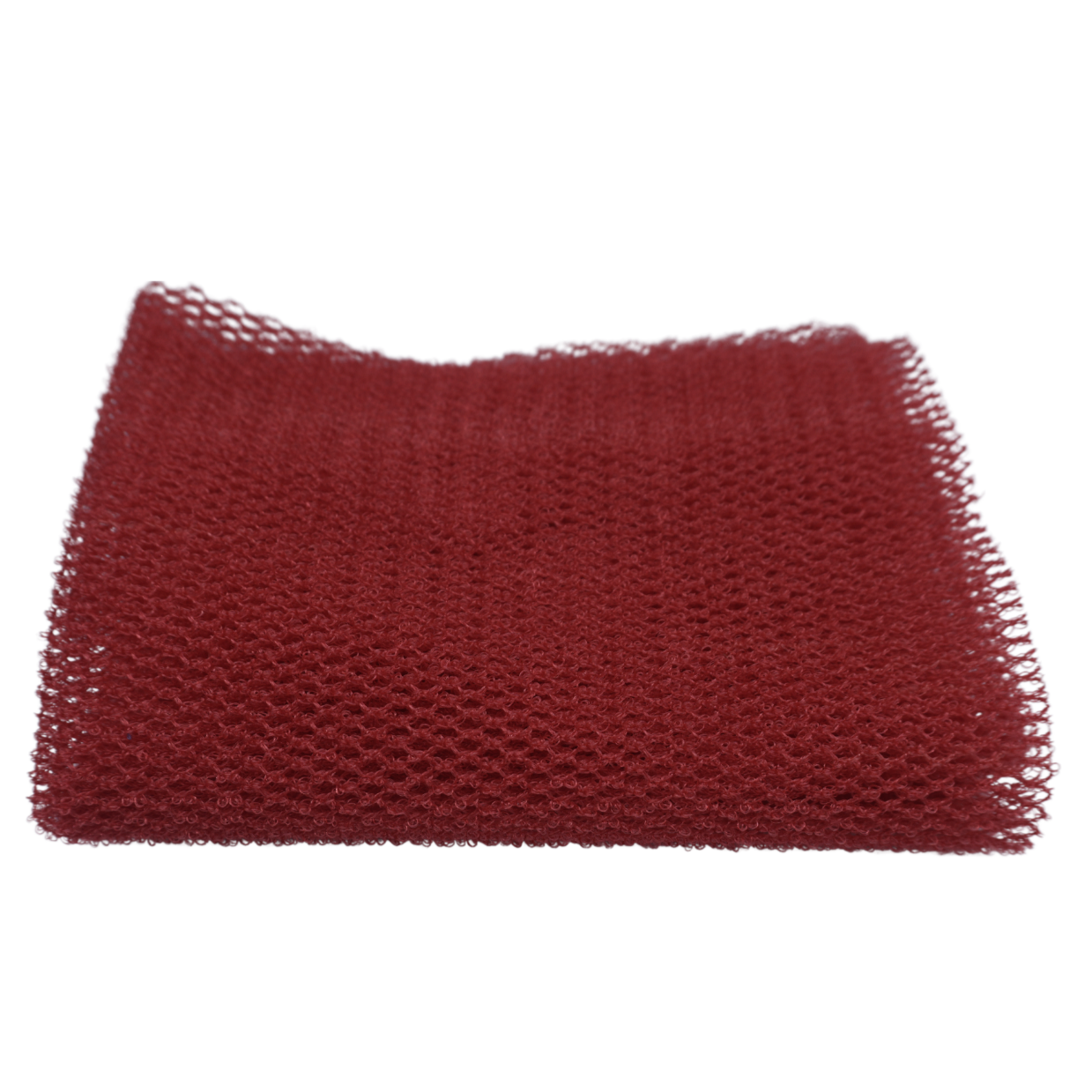 Net Bath Sponge